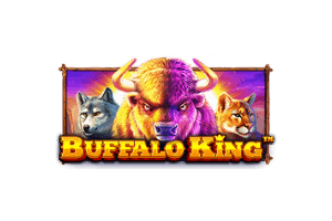 buffalo king