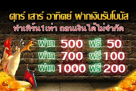 sbfplay เครดิตฟรี
