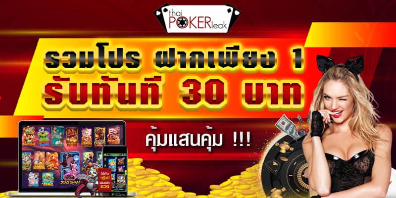 ฝาก1รับ30 แนะนำ